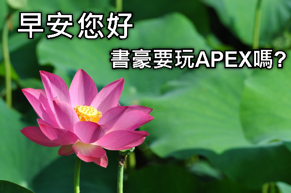 早安 您好 書豪要玩APEX嗎?