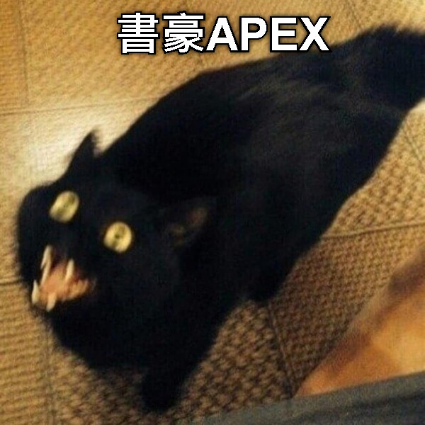 書豪APEX