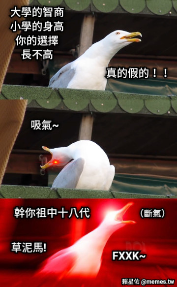 大學的智商 小學的身高 你的選擇 長不高 吸氣~ 真的假的！！ 草泥馬! 幹你祖中十八代 FXXK~ （斷氣）