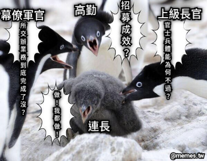 官 士 兵 體 能 為 何 不 過 ？ 招 募 成 效 ？ 所 交 辦 業 務 到 底 完 成 了 沒 ？ 做 ！ 我 都 做 ！ 高勤 幕僚軍官 上級長官 連長