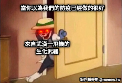 當你以為我們的防疫已經做的很好 來自武漢一飛機的生化武器