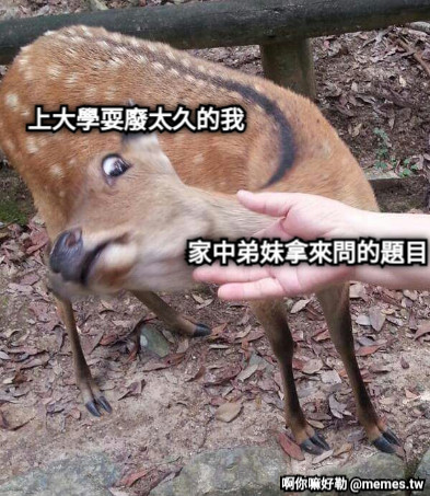 上大學耍廢太久的我 家中弟妹拿來問的題目
