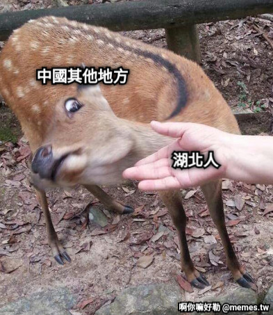 中國其他地方 湖北人