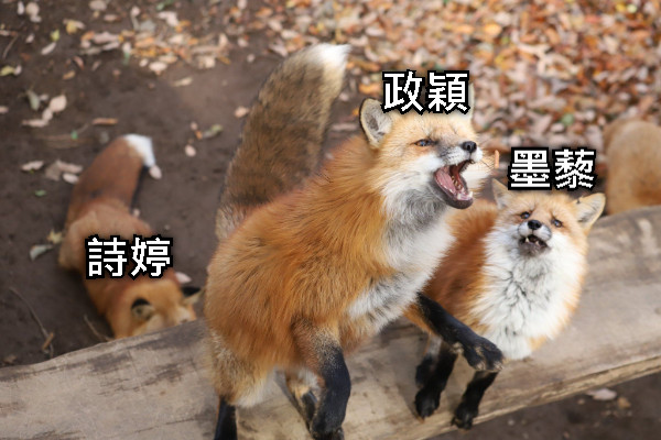 詩婷 政穎 墨藜