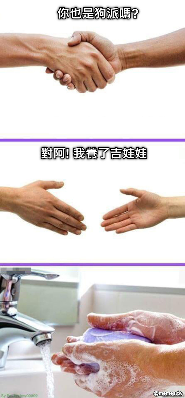 你也是狗派嗎? 對阿! 我養了吉娃娃