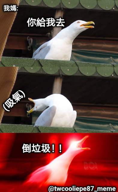 我媽: 你給我去 (吸氣) 倒垃圾！！ @twcooliepe87_meme