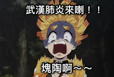 武漢肺炎來喇！！ 塊陶啊～～