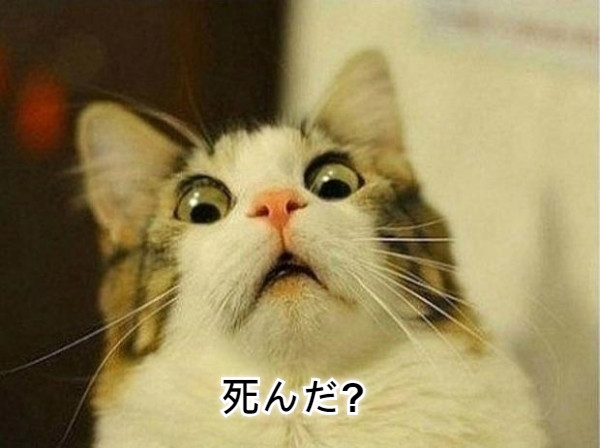 死んだ?