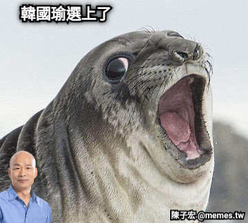 韓國瑜選上了