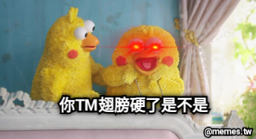 你TM翅膀硬了是不是