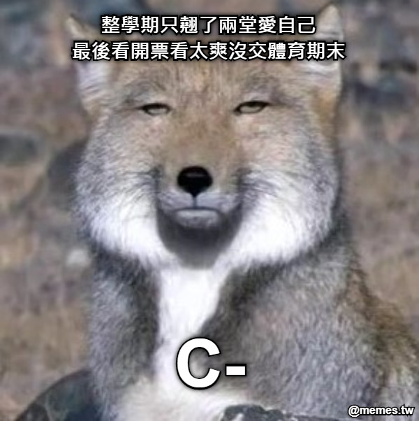 C- 整學期只翹了兩堂愛自己 最後看開票看太爽沒交體育期末