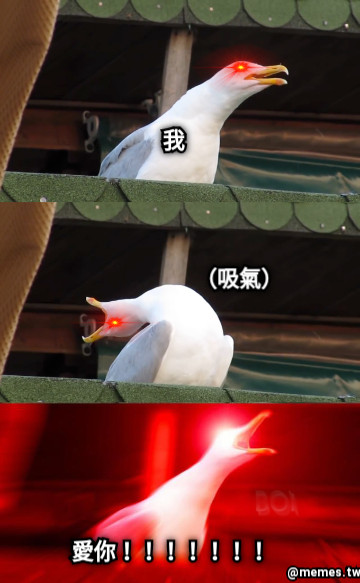 我  （吸氣） 愛你！！！！！！！