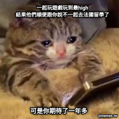 一起玩遊戲玩到最high 結果他們順便跟你說不一起去法國留學了 可是你期待了一年多