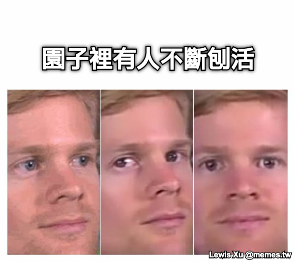 園子裡有人不斷刨活
