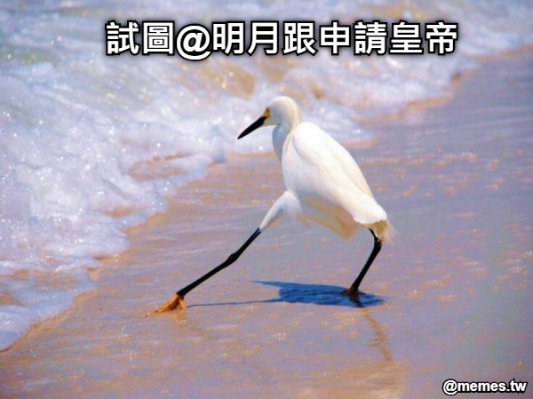 試圖@明月跟申請皇帝