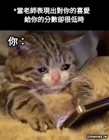 *當老師表現出對你的喜愛   給你的分數卻很低時 你：