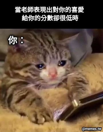 當老師表現出對你的喜愛 給你的分數卻很低時 你：
