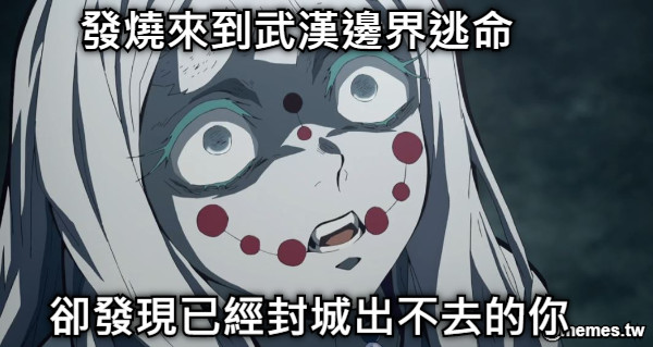 卻發現已經封城出不去的你 發燒來到武漢邊界逃命