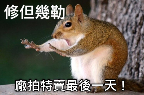 廠拍特賣最後一天！