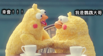 我是鸚鵡大哥 幸會！！！
