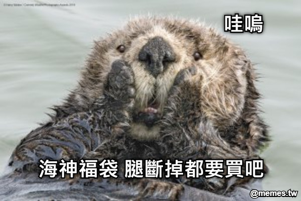 哇嗚 海神福袋 腿斷掉都要買吧