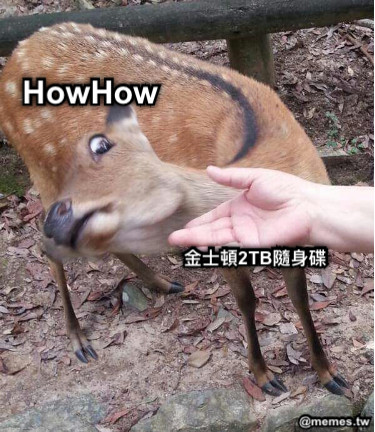 金士頓2TB隨身碟 HowHow