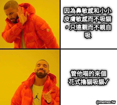 因為鼻敏感和小小皮膚敏感而不吸貓，只遠觀而不親自吸 管他喵的來個花式擼貓吸貓✓