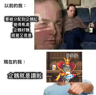 要被分配到企鵝缸 覺得焦慮 企鵝好醜 感覺又很臭 企鵝就是讚啦