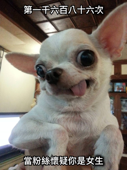 第一千六百八十六次 當粉絲懷疑你是女生