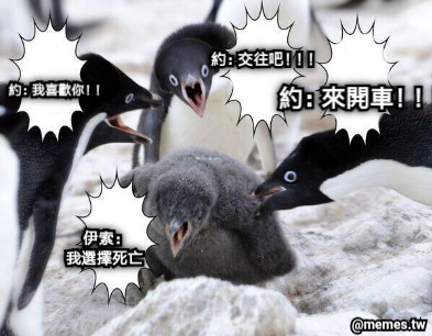 約：我喜歡你！！ 約：交往吧！！！ 約：來開車！！！ 伊索： 我選擇死亡