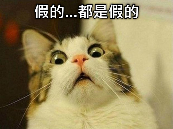 假的...都是假的