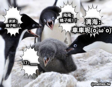 波波： 稿子呢！！ 飛飛： 稿子呢！！ 漓海： 車車呢(o´ω`o)？ 17：____