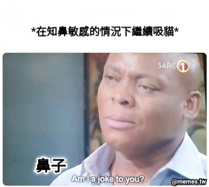 *在知鼻敏感的情況下繼續吸貓* 鼻子