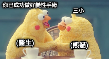 你已成功做好變性手術 三小 (醫生) (熊貓)