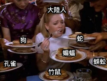 大陸人 蝙蝠 竹鼠 孔雀 狗 蜈蚣 蛇