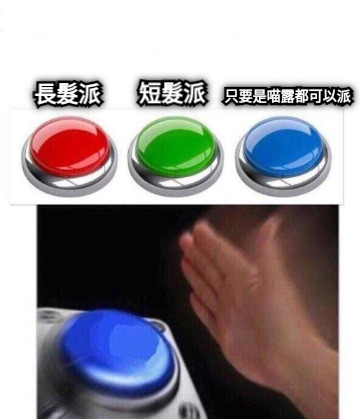 長髮派 短髮派 只要是喵露都可以派