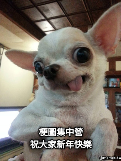 梗圖集中營 祝大家新年快樂