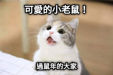 可愛的小老鼠！ 過鼠年的大家