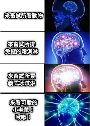 來畜試所看動物 來畜試所排 免錢的霜淇淋 來畜試所買 義式冰淇淋 來看可愛的 小老鼠！ 啾啾！