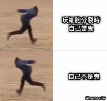 玩細胞分裂時自己當鬼 自己不是鬼