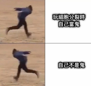 玩細胞分裂時自己當鬼 自己不是鬼