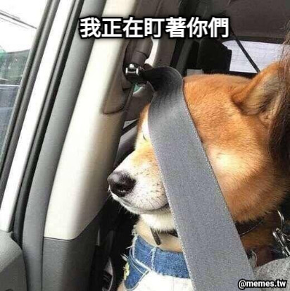 我正在盯著你們