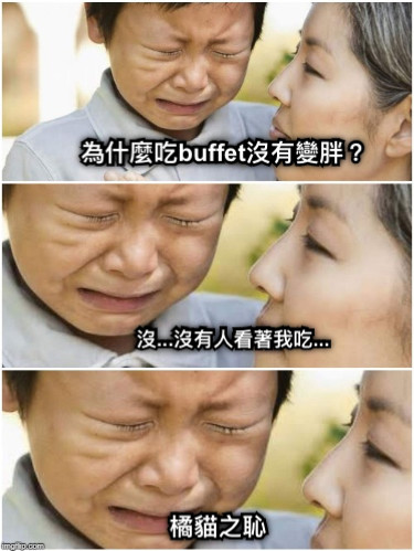 橘貓之恥 為什麼吃buffet沒有變胖？ 沒...沒有人看著我吃...
