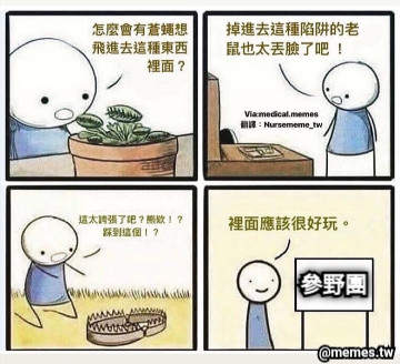 參野團