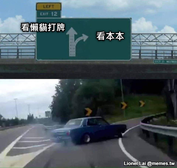 看懶貓打牌 看本本