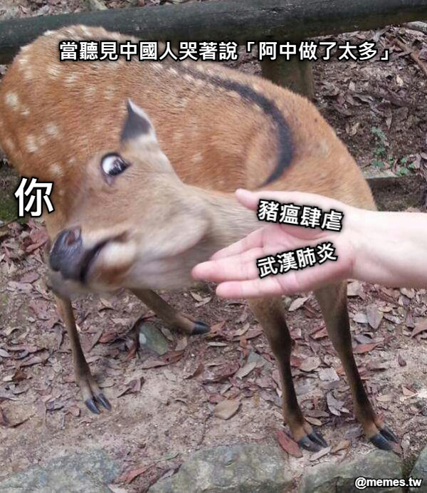 當聽見中國人哭著說「阿中做了太多」 豬瘟肆虐 武漢肺炎 你