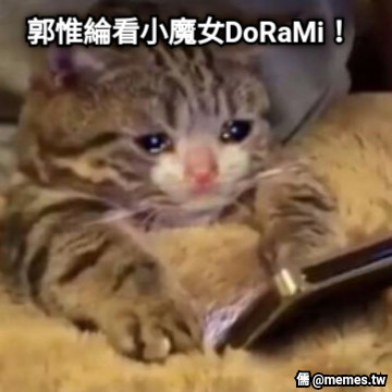 郭惟綸看小魔女DoRaMi！