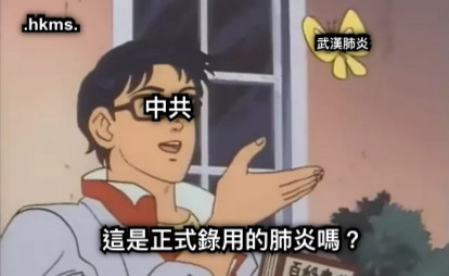 武漢肺炎 中共 這是正式錄用的肺炎嗎？ .hkms.