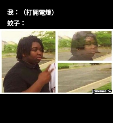 我：（打開電燈） 蚊子：