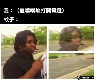 我：（氣噗噗地打開電燈） 蚊子：